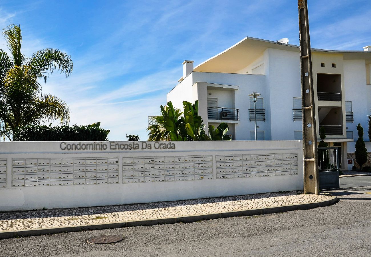 Apartamento em Albufeira - Apt. Figo OCV - Vista Mar Apartamento em Albufeira - Apt. Figo OCV - Vista Mar