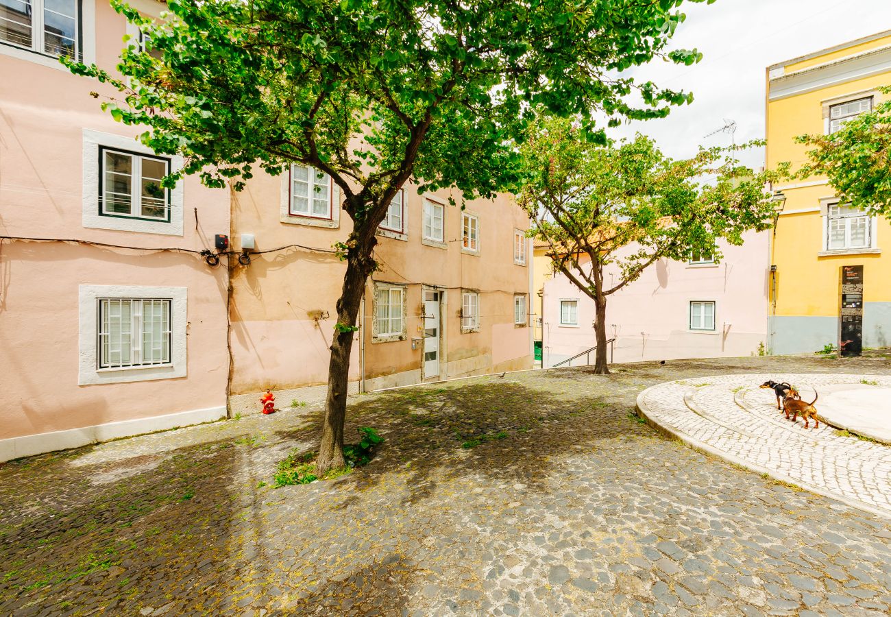 Estúdio em Lisboa - RENT4REST LISBON DOWNTOWN TINY STUDIO APARTMENT 1 Estúdio em Lisboa - RENT4REST LISBON DOWNTOWN TINY STUDIO APARTMENT 1