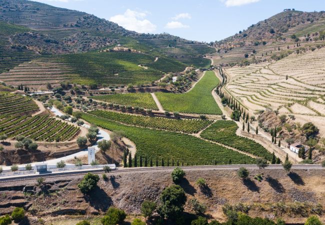 Apartamento em Custóias - DOURO FAMILY 2BD APARTM Apartamento em Custóias - DOURO FAMILY 2BD APARTM