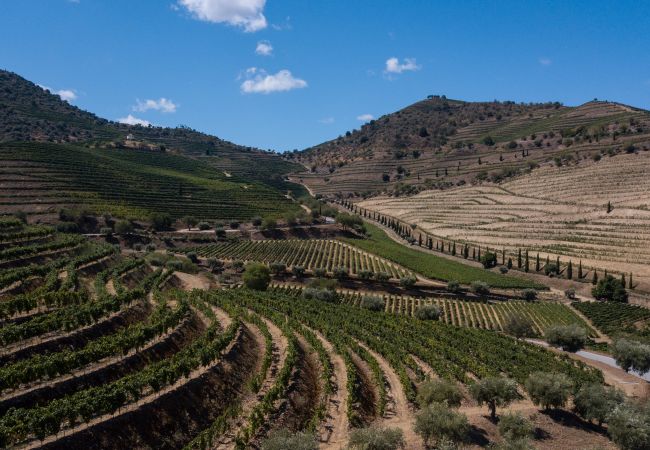 Apartamento em Custóias - DOURO FAMILY 2BD APARTM Apartamento em Custóias - DOURO FAMILY 2BD APARTM