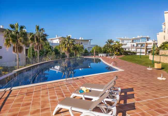 Apartment in Albufeira - Flat Romã OCV - Ocean View Apartment in Albufeira - Flat Romã OCV - Ocean View