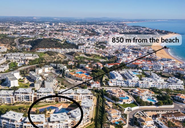 Apartment in Albufeira - Flat Romã OCV - Ocean View Apartment in Albufeira - Flat Romã OCV - Ocean View