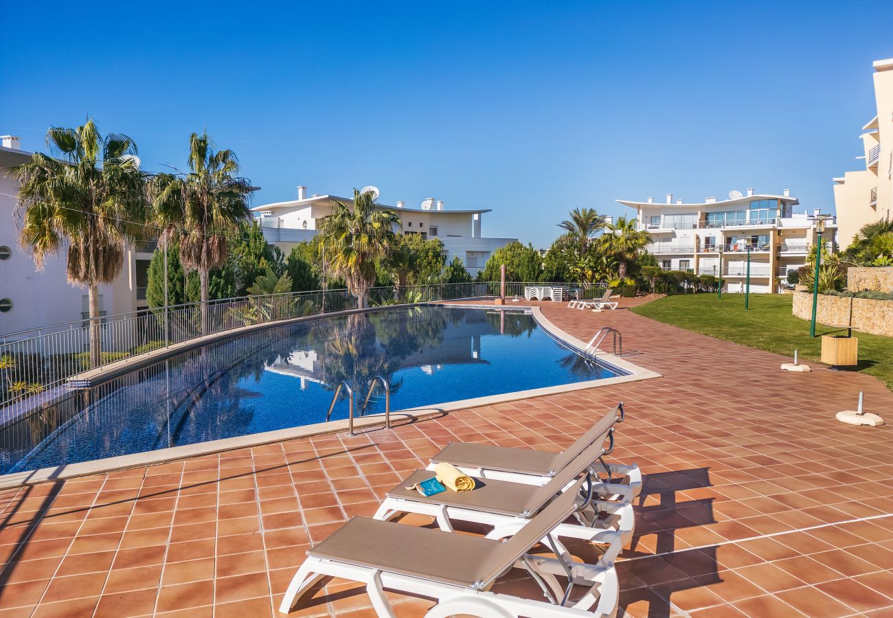 Apartment in Albufeira - Flat Romã OCV - Ocean View Apartment in Albufeira - Flat Romã OCV - Ocean View