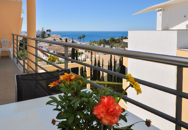 Apartment in Albufeira - Flat Medronho OCV - Ocean View Apartment in Albufeira - Flat Medronho OCV - Ocean View