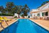 Villa in Albufeira - Villa Bia OCV - Private Pool Villa in Albufeira - Villa Bia OCV - Private Pool