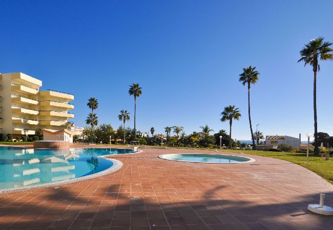 Apartment in Galé - Flat Galé Mar OCV - Ocean View