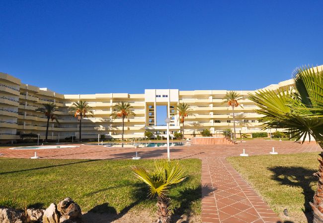 Apartment in Galé - Flat Galé Mar OCV - Ocean View