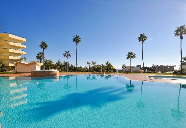 Apartment in Galé - Flat Galé Mar OCV - Ocean View