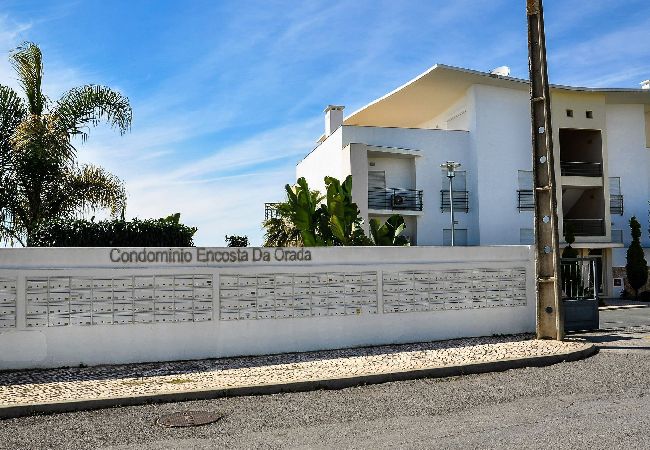 Apartment in Albufeira - Flat Amora OCV - Ocean View Apartment in Albufeira - Flat Amora OCV - Ocean View